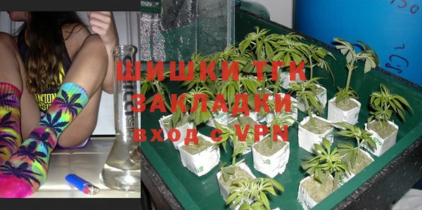 дурь Корсаков