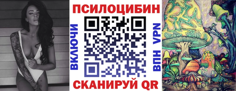 Купить закладки  Курганинск  Галлюциногенные грибы Cubensis 